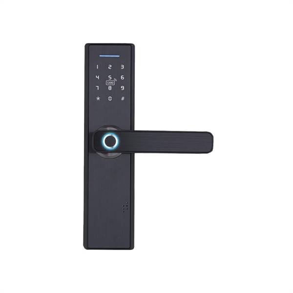 Serratura smart apertura con password, impronte digitali, RFID, Wi
