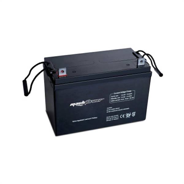 Batteria per gruppi di continuità 12V/100Ah