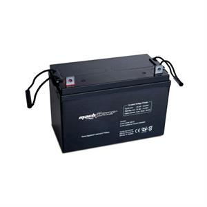 Batteria al piombo 12V 100Ah