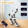 Robot umanoide con microcontrollore H5S