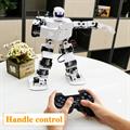 Robot umanoide con microcontrollore H5S