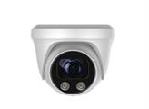 Videocamera dome IP 4MP/5MP full color,auto focus 5X,IR fino a 20 metri,PoE,audio,SD Slot,allarme