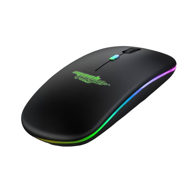 Mouse Wireless 2.4GHz Ricaricabile, Connessione USB e Bluetooth, Ergonomico, 1600DPI