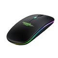 Mouse Wireless 2.4GHz Ricaricabile, Connessione USB e Bluetooth, Ergonomico, 1600DPI