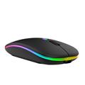 Mouse Wireless 2.4GHz Ricaricabile, Connessione USB e Bluetooth, Ergonomico, 1600DPI
